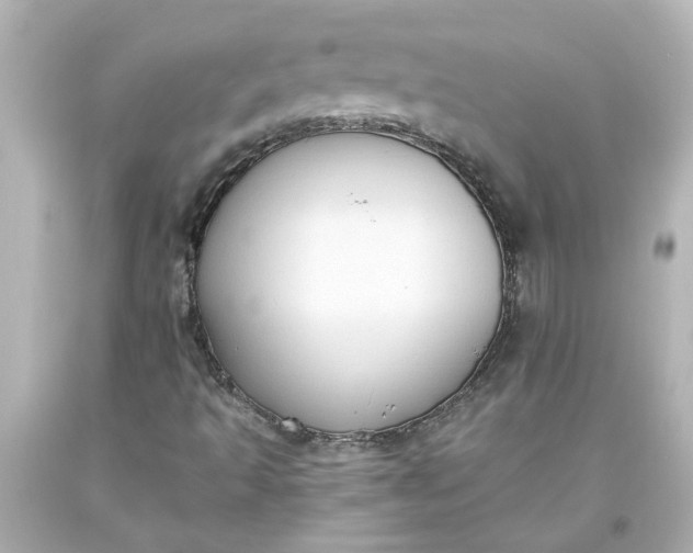 X0000093561493200710291008