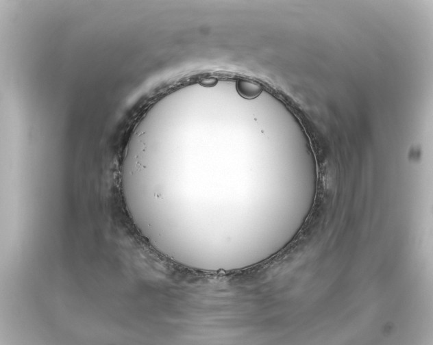 X0000093561495200710291008