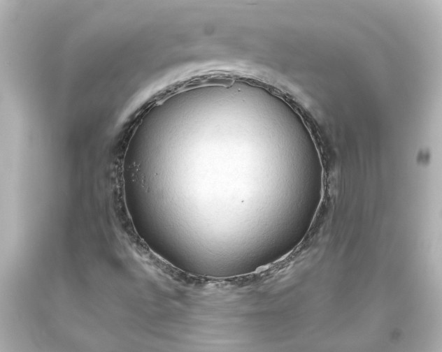 X0000093561496200710291008