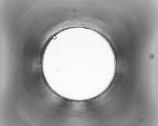 X0000093561498200710291008