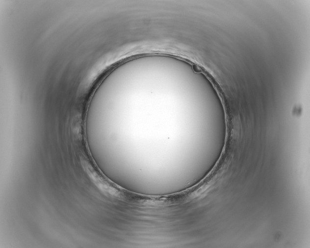 X0000093561499200710291008