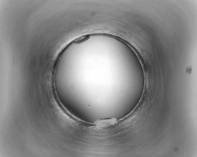 X0000093561500200710291008