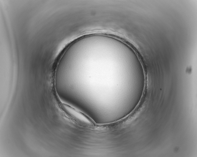 X0000093561501200710291008