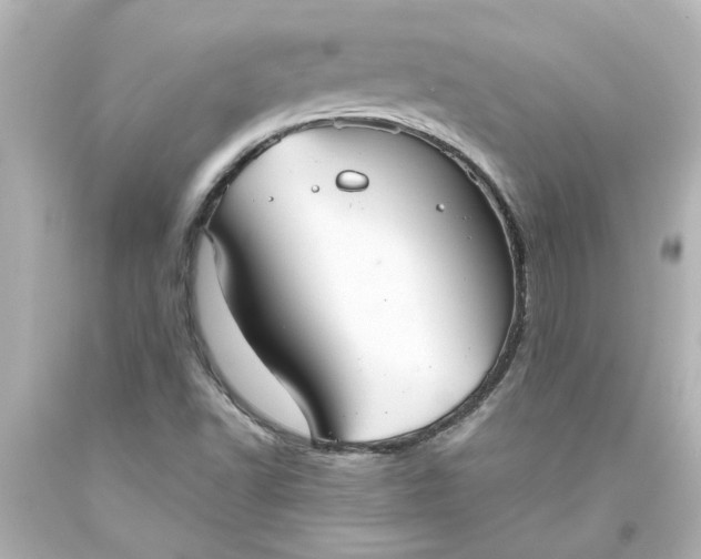 X0000093561502200710291008