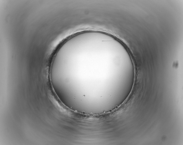 X0000093561503200710291008