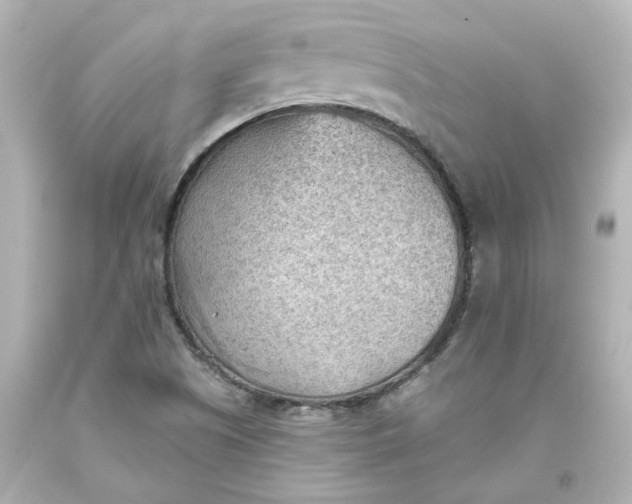 X0000093561505200710291008