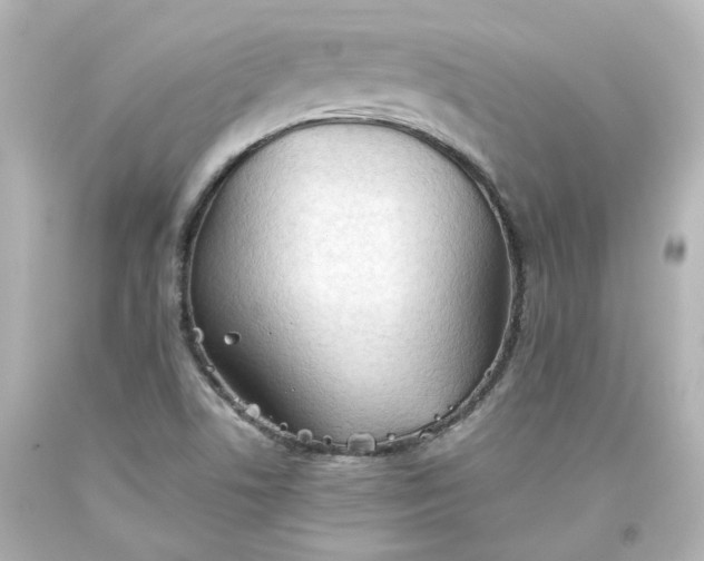 X0000093561506200710291008