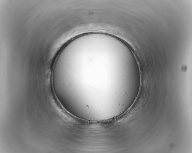 X0000093561507200710291008