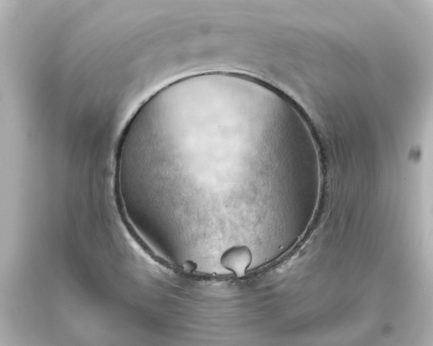 X0000093561508200710291008