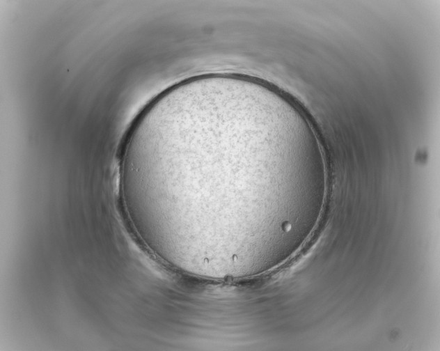 X0000093561509200710291008