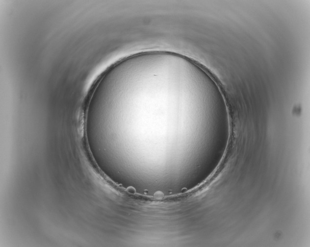 X0000093561510200710291008