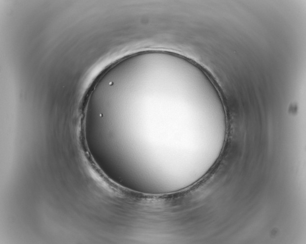 X0000093561511200710291008