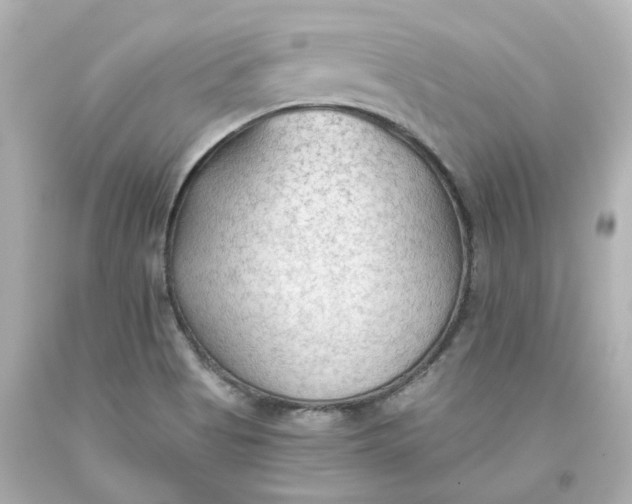 X0000093561513200710291008