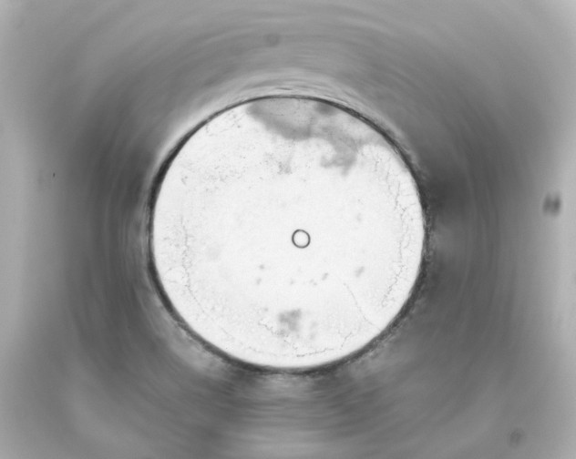 X0000093561514200710291008