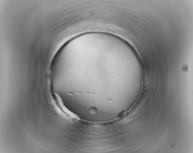 X0000093561515200710291008