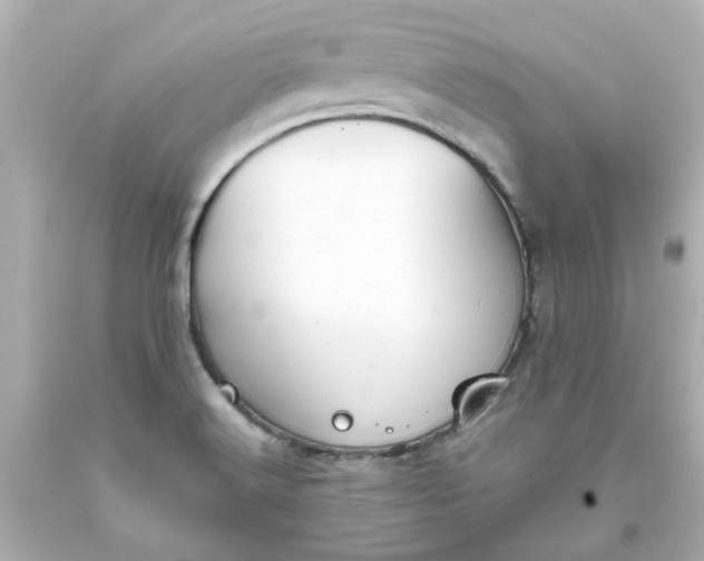 X0000093561516200710291008