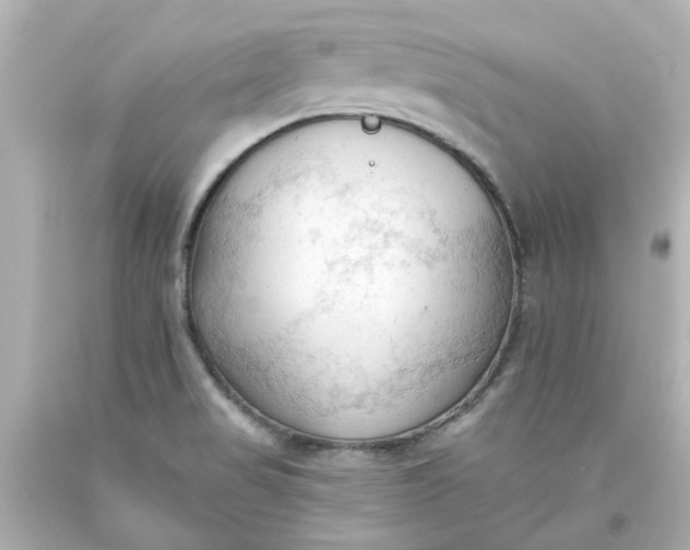 X0000093561517200710291008