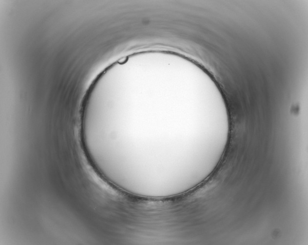 X0000093561518200710291008