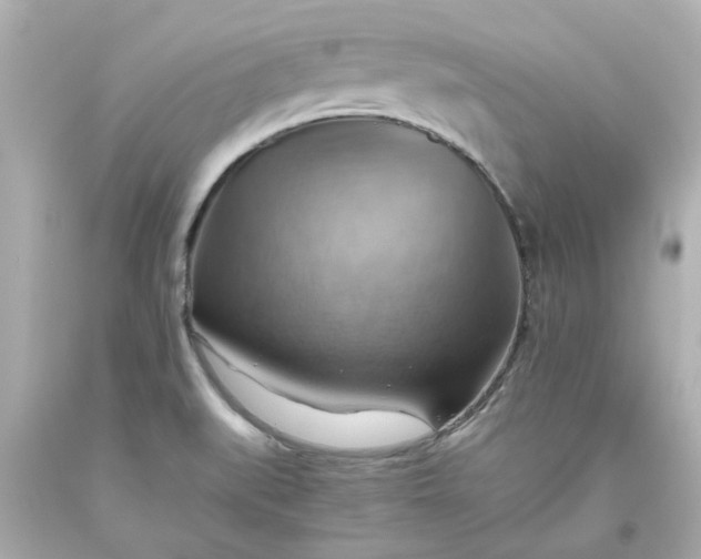 X0000093561519200710291008