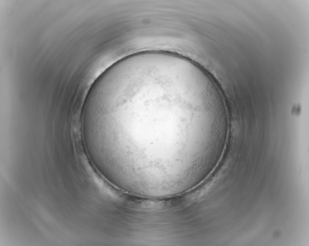 X0000093561521200710291008