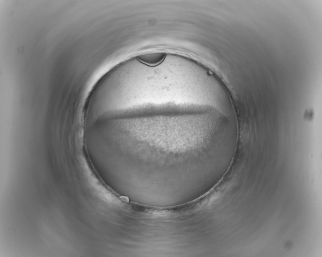 X0000093561522200710291008