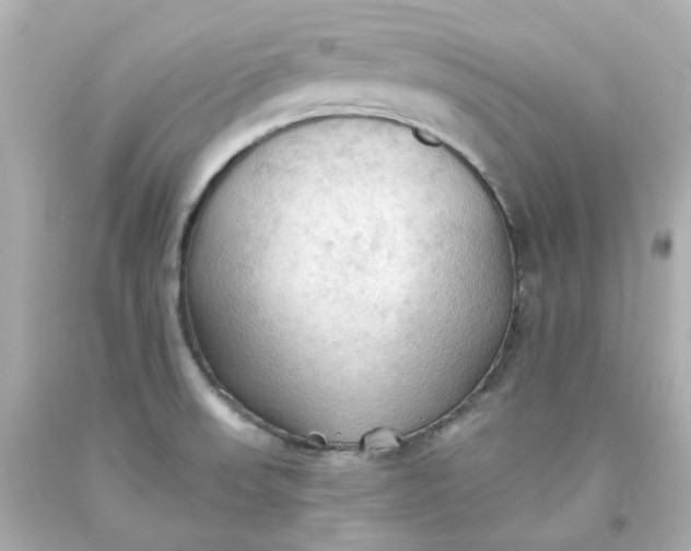 X0000093561523200710291008