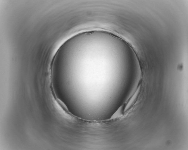 X0000093561524200710291008