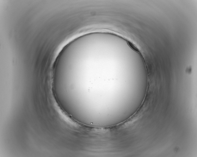 X0000093561526200710291008