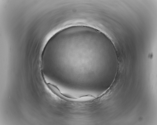 X0000093561527200710291008