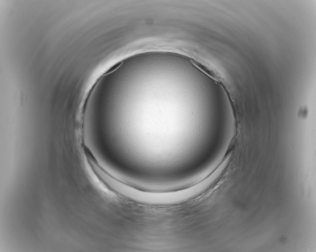 X0000093561528200710291008