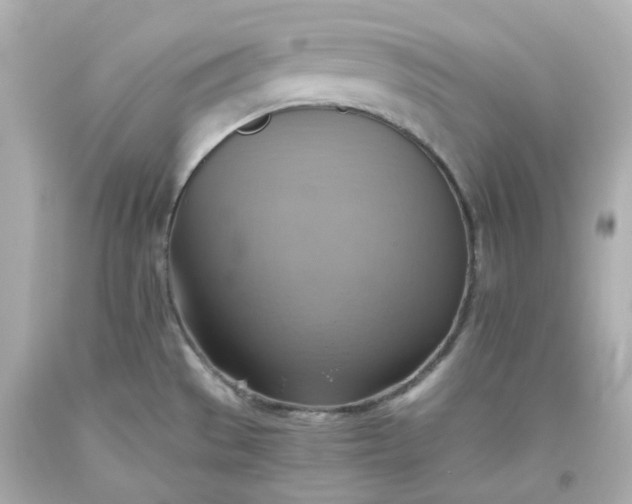 X0000093561529200710291008