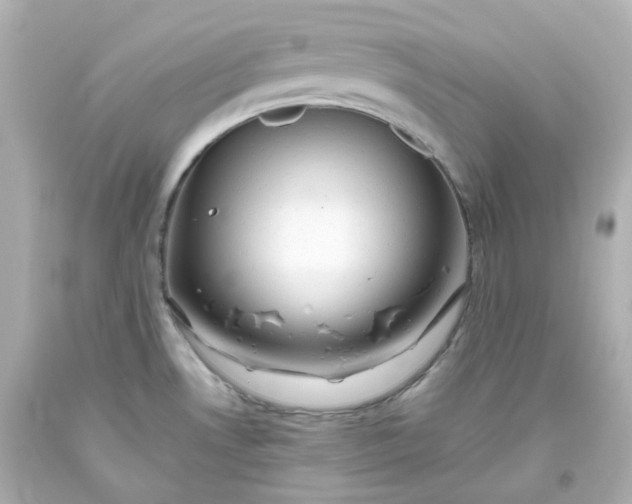 X0000093561530200710291008