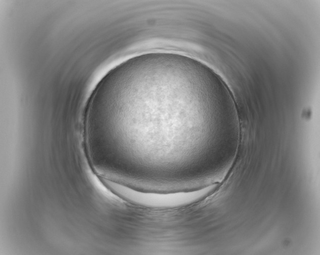 X0000093561531200710291008