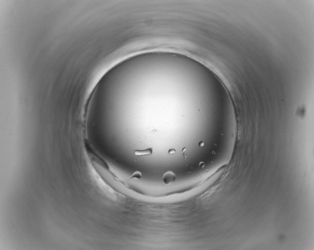 X0000093561532200710291008