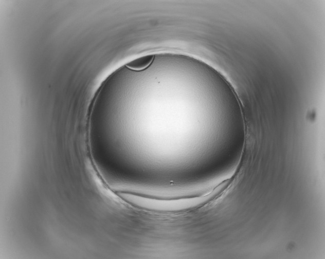 X0000093561534200710291008