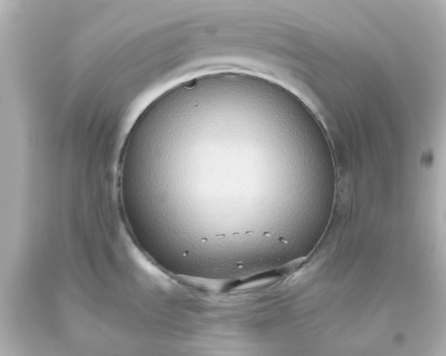 X0000093561535200710291008