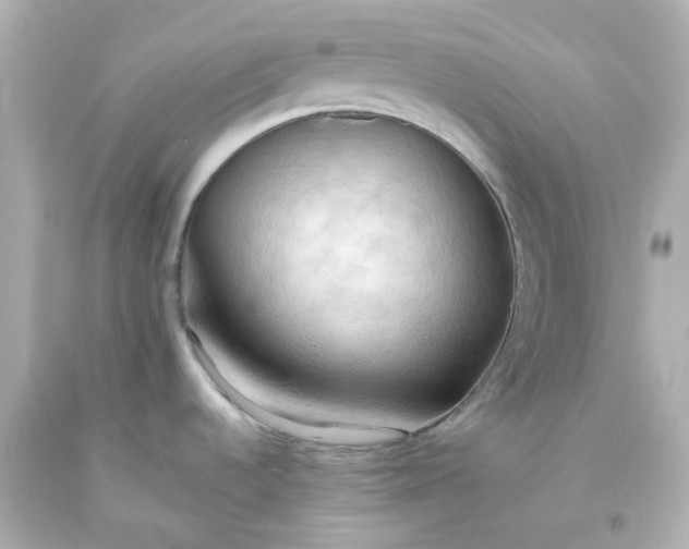 X0000093561536200710291008