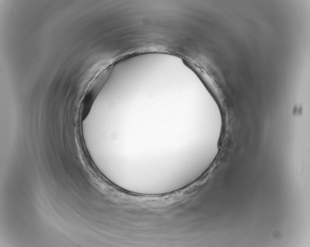 X0000093560001200711051046