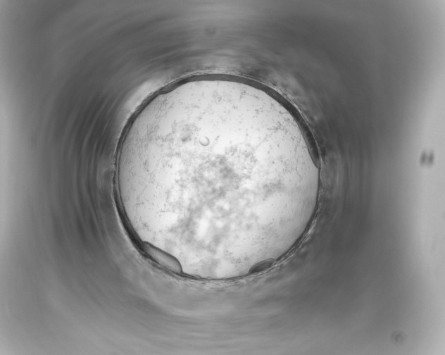 X0000093560003200711051046