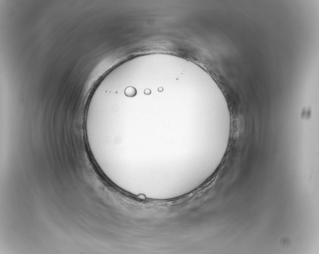 X0000093560004200711051046