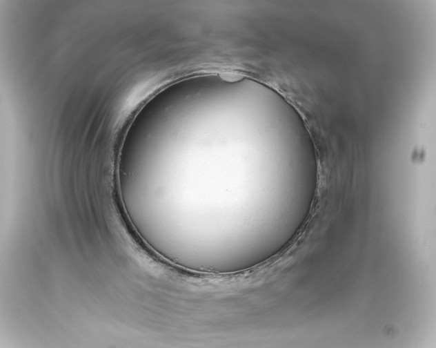 X0000093560005200711051046