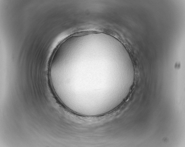 X0000093560006200711051046
