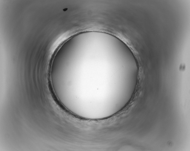 X0000093560007200711051046