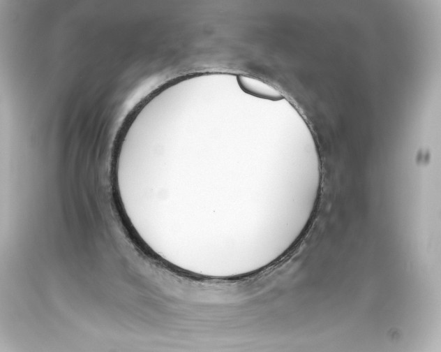 X0000093560008200711051046