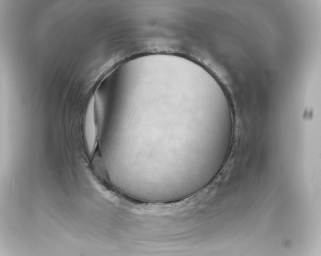 X0000093560009200711051046