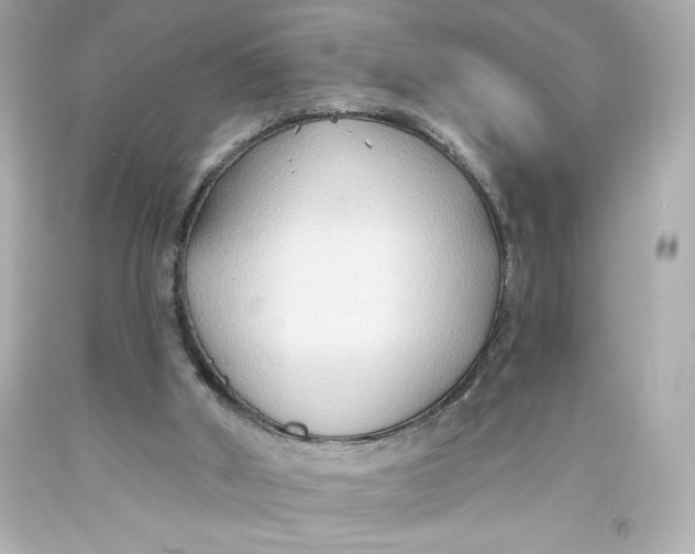 X0000093560010200711051046