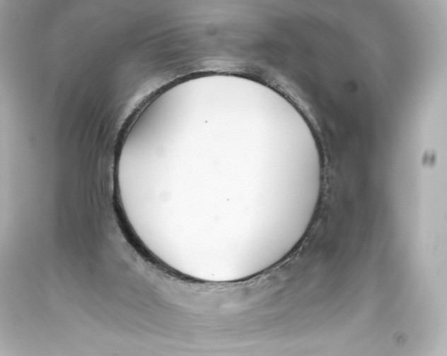 X0000093560011200711051046