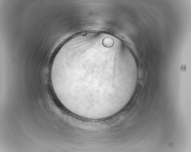 X0000093560012200711051046