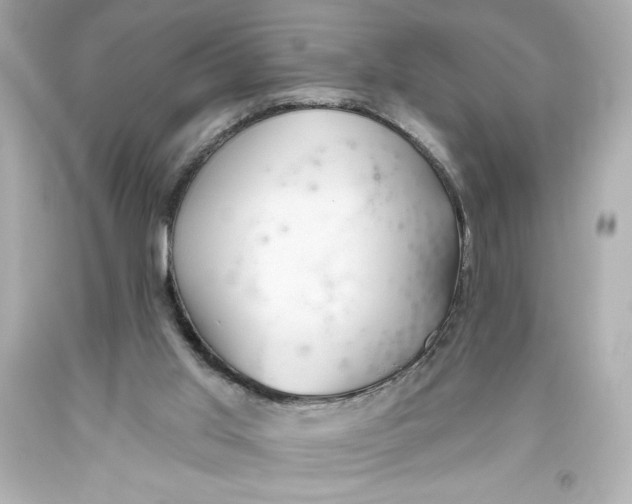 X0000093560013200711051046