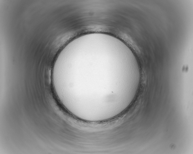 X0000093560014200711051046